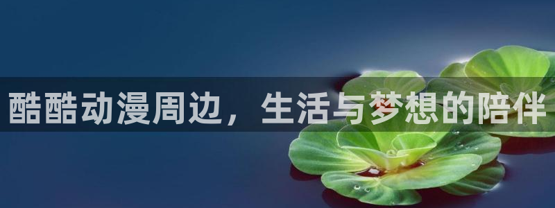 光速蒙面侠21号动漫之家：酷酷动漫周边，生活与梦想的陪伴