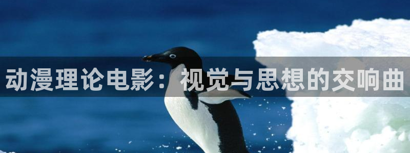 妖精动漫之家：动漫理论电影：视觉与思想的交响曲