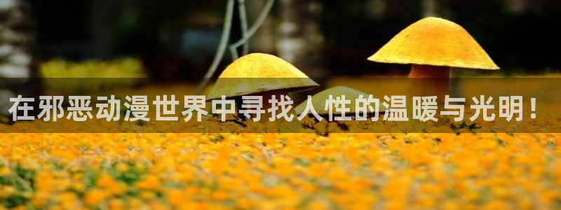 dmzj动漫之家：在邪恶动漫世界中寻找人性的温暖与光明！