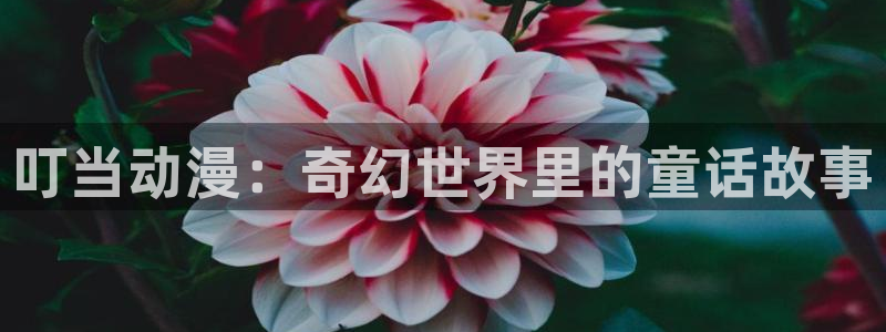 动漫之家手机版漫画网：叮当动漫：奇幻世界里的童话故事