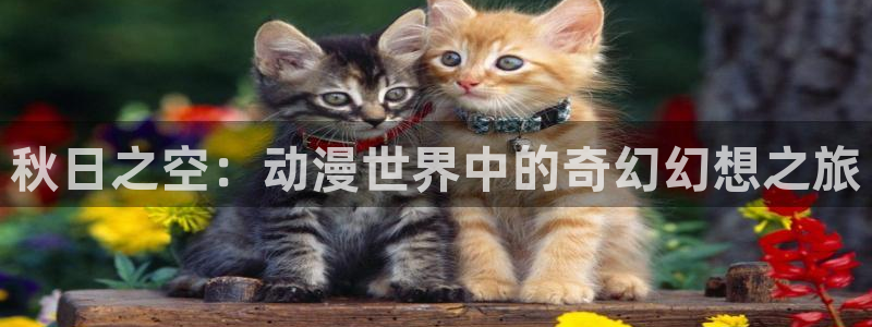 动漫之家动画：秋日之空：动漫世界中的奇幻幻想之旅