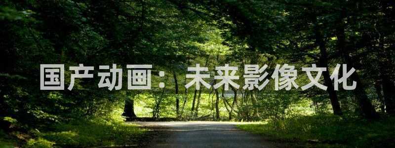 动漫之家怎么下载：国产动画：未来影像文化