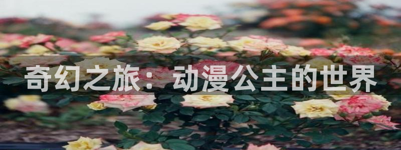 动漫之家安装包：奇幻之旅：动漫公主的世界
